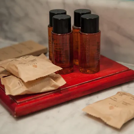 Alba Palace 3* Florencja